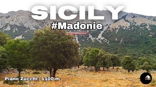 Italy 🇮🇹 Sicily  Madonie NP  Piano Zucchi 1100 m  LOCALITY [upl. by Ahsieker]