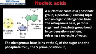 B8 Nucleic acids  Polynucleotides  DNA and RNA HL [upl. by Noirrad440]