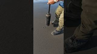 Razor Clam Digging Oregon Coast Danielson Clam Gun oregoncoast razorclams clamdigging clamming [upl. by Zelazny]