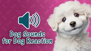 Mix of Dog Sounds  Barking Crying Howling Growling Whining [upl. by Janette]