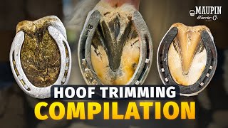 15 MINUTES Satisfying Frog Work amp Sole Trimming Compilation  4K FARRIER ASMR [upl. by Enelrae]