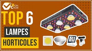 Lampes horticoles  Top 6  BonChoix [upl. by Einrae]