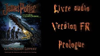 Livre audio vivant 🎧James Potter 1 FR 🎧 Prologue [upl. by Kurys]