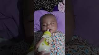 cara nyusuin bayi shortsvideo newbornbaby shortsviral fypシ゚viral trending masukberanda [upl. by Ilenay]