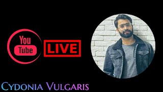 Livestream Dr Hub  Cydonia Vulgaris  Cydonia Vulgaris Homeopathic Medicine [upl. by Astiram]