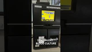 Blood Culture Automatic BactAlert laboratory microbiology mltclasses medicalstudent bacteria [upl. by Main]