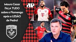 O Flamengo vai CONTRATAR um CENTROAVANTE O que Mauro Cezar FARIA VEJA ANÁLISE após LESÃO de Pedro [upl. by Archibald954]