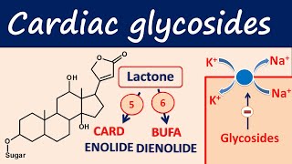 Cardiac glycosides in easy way  Digoxin digitoxin [upl. by Arul]