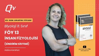 EİS Biyoloji 11 Sınıf Ders Anlatım Föyleri  Föy 13  İnsan Fizyolojisi Sindirim Sistemi [upl. by Eerolam]