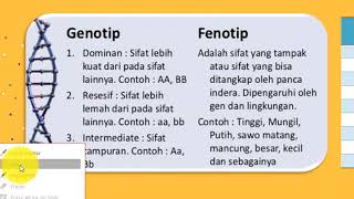 PEWARISAN SIFAT BAGIAN 2  PERBEDAAN GENOTIP DAN FENOTIP [upl. by Fidele334]