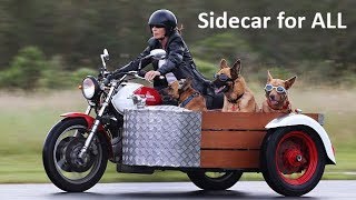 Motorcycle Sidecar [upl. by Enidlareg]