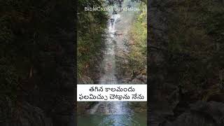 నీటి కాలువల ప్రక్కన  PsalmsChapter1  neeti kaaluvala prakkana bible cross foundation [upl. by Mcmullan]