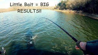 This BAIT Is A GAME CHANGER For CRAPPIE [upl. by Loise761]