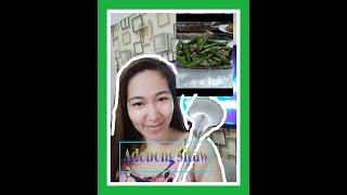 adobong sitaw recipe [upl. by Milka]