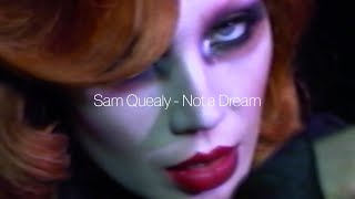 Sam Quealy  Not A Dream visualizer [upl. by Nimar]