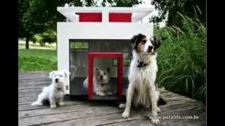 Casa para cachorros  Pets [upl. by Arch71]