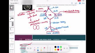 Anterior cerebral artery strokes neurology 71  First Aid USMLE Step 1 in UrduHindi [upl. by Enyr759]