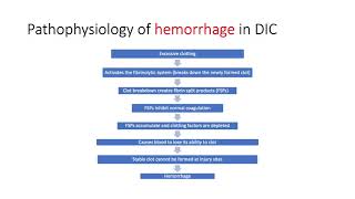 Disseminated Intravascular Coagulation DIC [upl. by Ianahs]