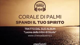 CORALE DI PALMI  SPANDI IL TUO SPIRITO [upl. by Aislehc]