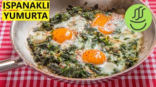 Ispanaklı Yumurta  Yumurtalı Ispanak [upl. by Aelak]