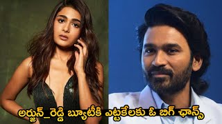 Actress Shalini Pandey To Star OPPOSITE Dhanush In Idli Kadai Movie  NSE [upl. by Dilly]