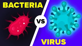 Virus vs Bacteria Whats Actually the Difference [upl. by Odlauso162]