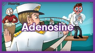 Adenosine Mnemonic for USMLE [upl. by Juetta]