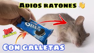 El Mejor Remedio para Eliminar RATONES  Usando Galletas [upl. by Sugirdor508]