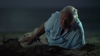 Sir David Attenborough being iconic for 25 minutes [upl. by Acilejna]