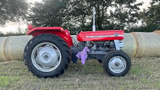 Massey Ferguson 135 Is Back Up And Running [upl. by Gustafson]