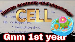 CELL gnm 1st year Human Anatomy and physiology 🫁 Hindi Online classes ✌️❣️✌️ [upl. by Akli]