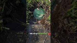 How To Find Your Drainage Systems Discharge End  Pop Up Emitter  Yard Drainage [upl. by Notgnillew786]