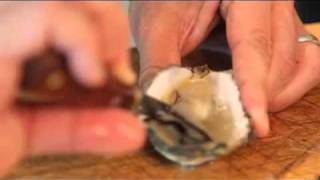 The Definitive Oyster Shucking Video [upl. by Vijar986]