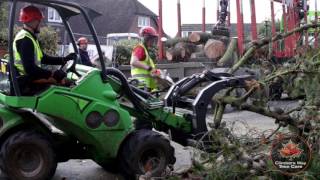 So you want to be a tree surgeon A day in the life of an arborist [upl. by Anahc]