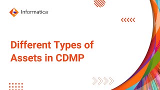 Different Types of Assets in CDMP [upl. by Mckay]