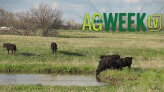 AgweekTV Full Episode 020324 S10E05 [upl. by Luy]