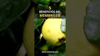 5 beneficios del membrillo para la salud [upl. by Omik964]