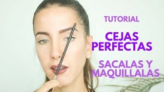 Tutorial Cejas Perfectas Como Sacarlas y Maquillarlas de acuerdo a tus Ojos [upl. by Juline]