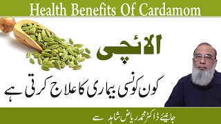 How To Use Cardamom at Home [upl. by Alikee]