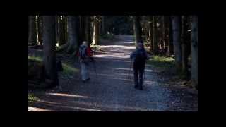 Hiking tour Zwiesel Bavaria [upl. by Debarath]