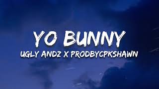 Yo Bunny  Ugly Andz x Prodbycpkshawn Lyrics [upl. by Ayamahs952]