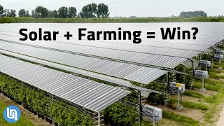 Solar Panels Plus Farming Agrivoltaics Explained [upl. by Aciamaj]