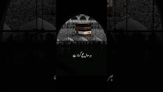 pachas hazar log har saal hajj krte hen ❤  Hajj 2024  Bakra Eid  shortvideo viralvideo [upl. by Aihsoem674]