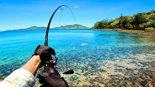 Fishing the Shorelines of Tropical Islands [upl. by Niad491]