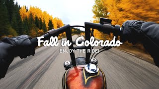 Relaxing Motorcycle Ride in the Colorado Mountains  Harley Sportster Chopper RAW Engine Sound Only [upl. by Anthony283]