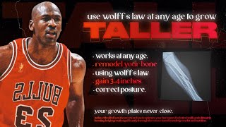 how to GROW taller at ANY AGE using Wolffs Law [upl. by Ysirhc639]