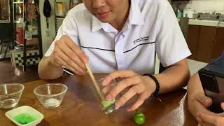 DNA Extraction [upl. by Rockie29]