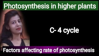 class 11 photosynthesis in higher plants educationk6111 [upl. by Leidag]