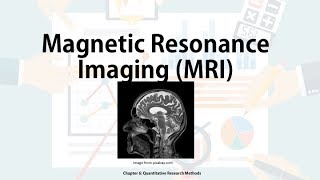 Techniques to study the brain  MRI Biological Approach in IB Psych [upl. by Ayikaz993]