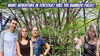 Tortola Hike BVI [upl. by Monie]